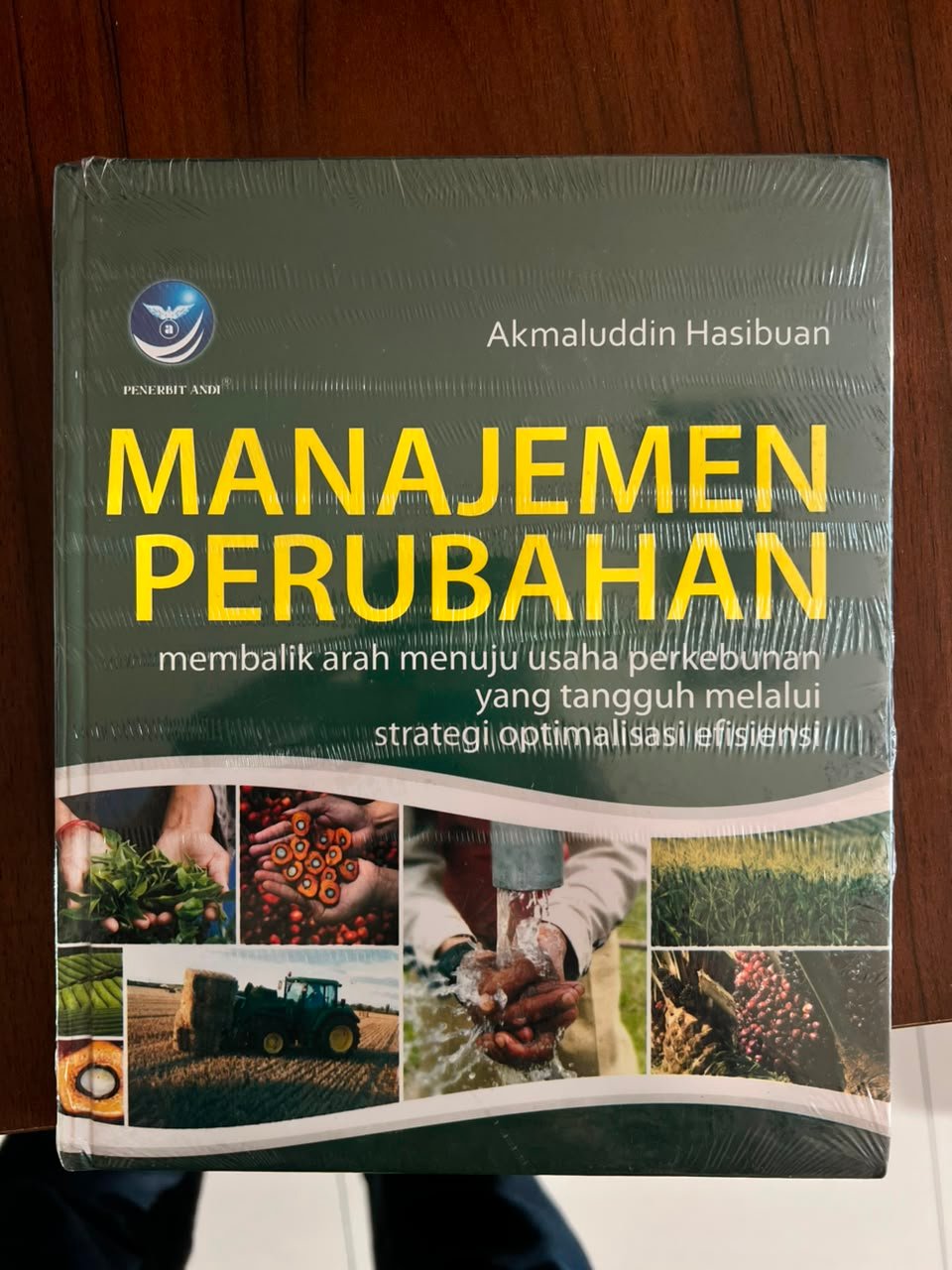 Cover Manajemen Perubahan: Membalik Arah Menuju Usaha Perkebunan yang Tangguh melalui Strategi Optimalisasi Efisiensi